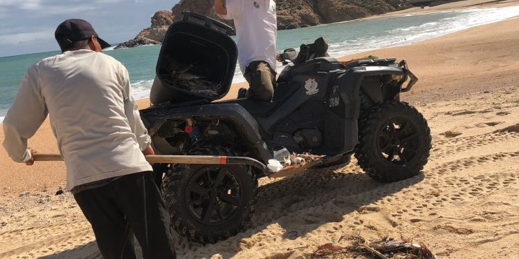 ZOFEMAT LOS CABOS HA PUESTO EN MARCHA LOS TRABAJOS PARA LA REHABILITACIÓN DE PLAYAS LUEGO DEL PASO DEL HURACÁN “NORMA”.