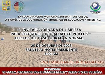 ZOFEMAT INVITA A LA POBLACIÓN  A UNIRSE A LA CAMPAÑA DE LIMPIEZA PARA RETIRAR EL LIRIO ACUÁTICO DEL  ESTERO DE SAN JOSÉ DEL CABO