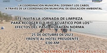 ZOFEMAT INVITA A LA POBLACIÓN  A UNIRSE A LA CAMPAÑA DE LIMPIEZA PARA RETIRAR EL LIRIO ACUÁTICO DEL  ESTERO DE SAN JOSÉ DEL CABO