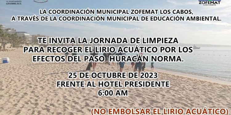 ZOFEMAT INVITA A LA POBLACIÓN A UNIRSE A LA CAMPAÑA DE LIMPIEZA PARA RETIRAR EL LIRIO ACUÁTICO DEL ESTERO DE SAN JOSÉ DEL CABO