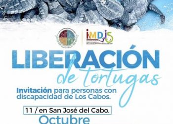 IMDIS DE CABOS EN COLABORACIÓN CON LA DIRECCIÓN GENERAL DE ECOLOGÍA Y MEDIO AMBIENTE LIBERARÁN TORTUGAS EN SAN JOSÉ DEL CABO Y CABO SAN LUCAS