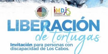 IMDIS DE CABOS EN COLABORACIÓN CON LA DIRECCIÓN GENERAL DE ECOLOGÍA Y MEDIO AMBIENTE LIBERARÁN TORTUGAS EN SAN JOSÉ DEL CABO Y CABO SAN LUCAS