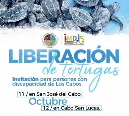 IMDIS DE CABOS EN COLABORACIÓN CON LA DIRECCIÓN GENERAL DE ECOLOGÍA Y MEDIO AMBIENTE LIBERARÁN TORTUGAS EN SAN JOSÉ DEL CABO Y CABO SAN LUCAS