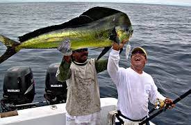 Temas y sucesos // Diálogos Un intento por hacer reflexionar al lector… HUMBERTO ZAMORA RUIZ