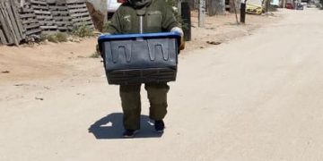 PROGRAMA MUNICIPAL PRO ANIMAL LOS CABOS ATIENDE UN PROMEDIO DE 4 A 7 REPORTES DIARIOS DE PANALES DE ABEJAS