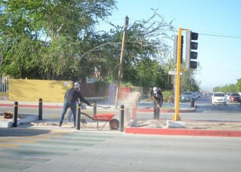 PARTICIPAN MÁS DE 5 MIL SERVIDORES PÚBLICOS EN JORNADA DE LIMPIEZA “LA CIUDAD TE NECESITA”