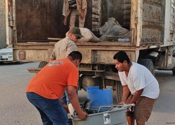 INCORPORA SEP EN LOS CABOS ACASI MIL ALUMNOS DE NIVEL BÁSICO RECIÉN LLEGADOS