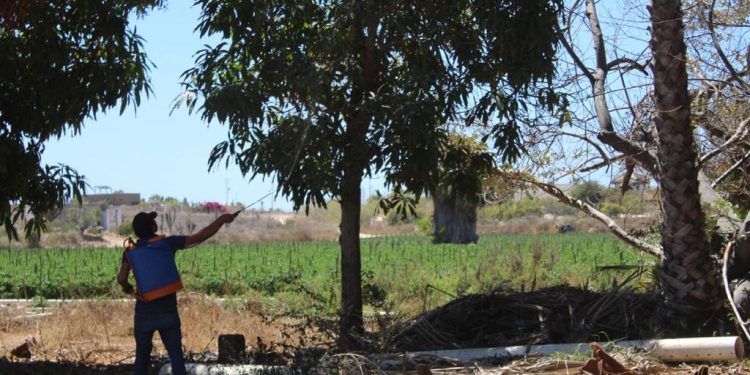 CONVOCA GOBERNADOR VCC A PARTICIPAR EN JORNADA DE LIMPIEZA ESTE SÁBADO