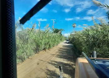 REHABILITA SERVICIOS PÚBLICOS DE LOS CABOS LOS CAMINOS RURALES