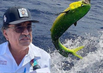 PRONUNCIAMIENTO DEL ALCALDE DE LOS CABOS OSCAR LEGGS CASTRO