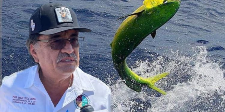 PRONUNCIAMIENTO DEL ALCALDE DE LOS CABOS OSCAR LEGGS CASTRO