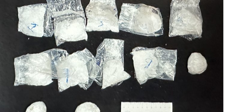 FGR OBTIENE SENTENCIA DE CUATRO AÑOS DE PRISIÓN EN CONTRA DE UNA PERSONA POR POSESIÓN DE NARCÓTICOS