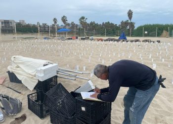 RECIBE EL PROGRAMA MUNICIPAL DE PROTECCIÓN A LA TORTUGA MARINA DONACIÓN DE MATERIALES POR PARTE DEL HOTEL WESTING VACATION CLUB LOS CABOS