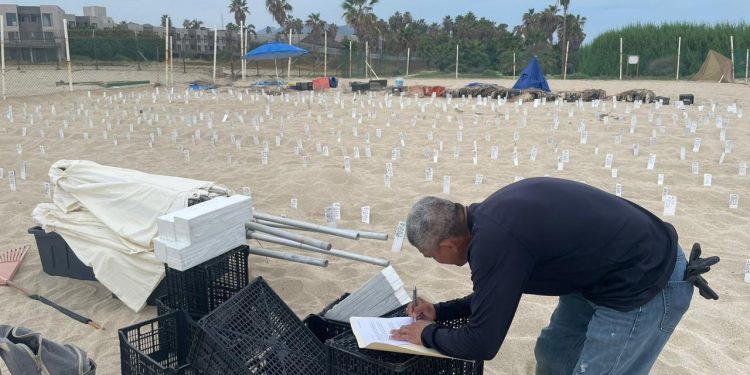 RECIBE EL PROGRAMA MUNICIPAL DE PROTECCIÓN A LA TORTUGA MARINA DONACIÓN DE MATERIALES POR PARTE DEL HOTEL WESTING VACATION CLUB LOS CABOS
