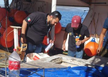 ATIENDE FONMAR DENUNCIA DE BARCO QUE TRANSPORTABA MARLÍN EN SAN CARLOS