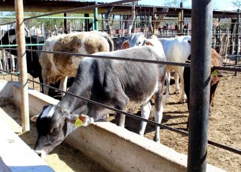 REINSTALAN COMITÉ COMUNITARIO DEL AGUA EN ISLA MAGDALENA