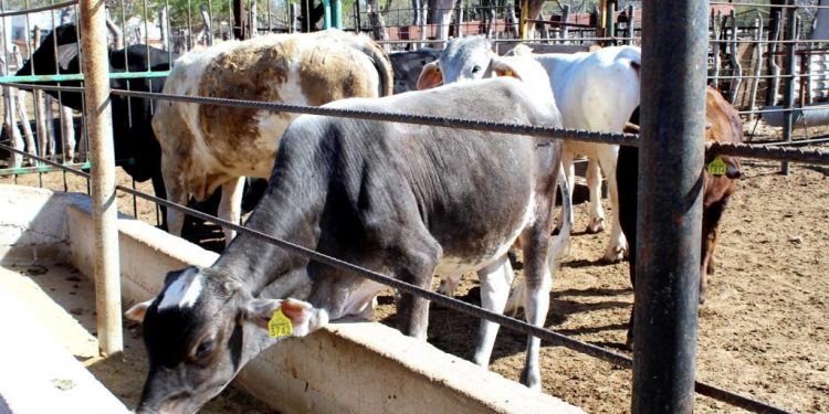 REINSTALAN COMITÉ COMUNITARIO DEL AGUA EN ISLA MAGDALENA