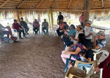 EN UN AÑO, 559 PERSONAS FUERON DETENIDAS EN OPERATIVOS DE LA POLICÍA ESTATAL: SSPE