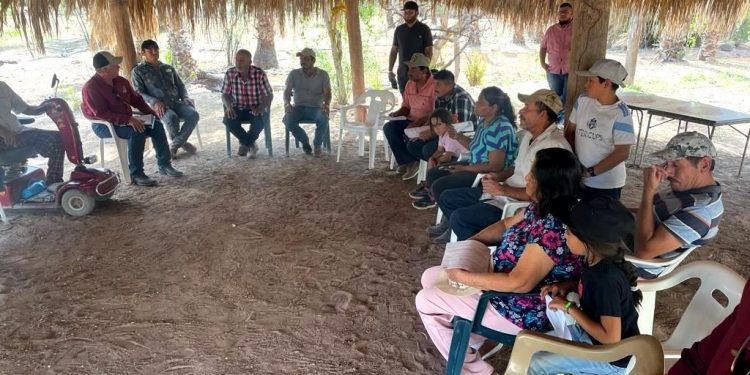 EN UN AÑO, 559 PERSONAS FUERON DETENIDAS EN OPERATIVOS DE LA POLICÍA ESTATAL: SSPE