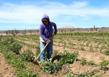 INICIÓ VACUNACIÓN CONTRA INFLUENZA PARA PERSONAL DE SALUD