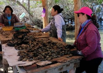 SE UBICA BCS ENTRE LAS ENTIDADES CON MENOR TASA DE EMBARAZO ADOLESCENTE: ZFA