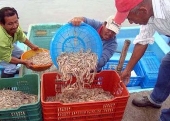 Temas y sucesos // Diálogos Un intento por hacer reflexionar al lector… HUMBERTO ZAMORA RUIZ