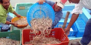 Temas y sucesos // Diálogos Un intento por hacer reflexionar al lector… HUMBERTO ZAMORA RUIZ