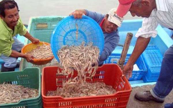 Temas y sucesos // Diálogos Un intento por hacer reflexionar al lector… HUMBERTO ZAMORA RUIZ