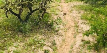 ABCdario Por Víctor Octavio García