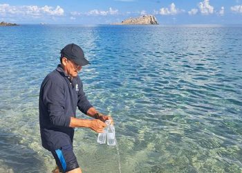 PLAYAS DE LOCALIDADES DE LA PAZ SÍ PUEDEN UTILIZARSE PARA FINES RECREATIVOS: COEPRIS