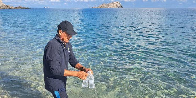 PLAYAS DE LOCALIDADES DE LA PAZ SÍ PUEDEN UTILIZARSE PARA FINES RECREATIVOS: COEPRIS