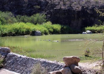 REALIZARON PROCURACIÓN DE ÓRGANOS PARA TRASPLANTE EN EL HOSPITAL SALVATIERRA