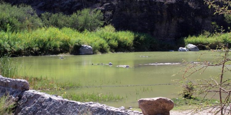 REALIZARON PROCURACIÓN DE ÓRGANOS PARA TRASPLANTE EN EL HOSPITAL SALVATIERRA