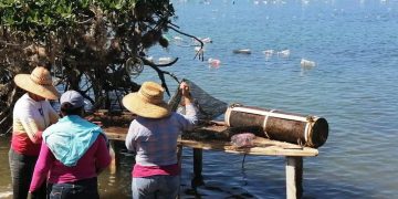 VIGILA SEP QUE ESCUELAS PARTICULARES  TENGAN VALIDEZ OFICIAL