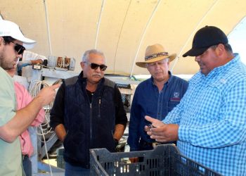 SNE-BCS CONVOCA A JORNADA DE EMPLEO PARA OPERADORES DE TRANSPORTE EN LA PAZ