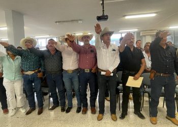 EVALUACIÓN DIAGNÓSTICA EN INGLÉS A ESTUDIANTES DE PRIMARIA