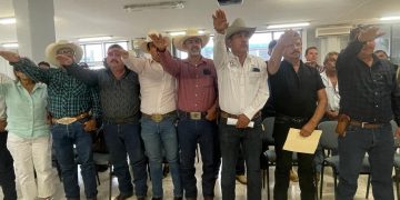 EVALUACIÓN DIAGNÓSTICA EN INGLÉS A ESTUDIANTES DE PRIMARIA