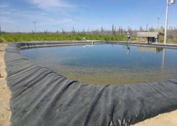 ATENDIÓ SNE-BCS A OPERADORES EN JORNADA “MI CHAMBA AL VOLANTE “