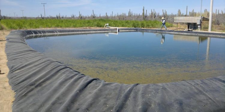 ATENDIÓ SNE-BCS A OPERADORES EN JORNADA “MI CHAMBA AL VOLANTE “