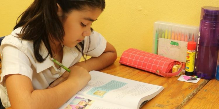 REALIZARÁ SEP PROYECTO DE FOMENTO A LA LECTURA