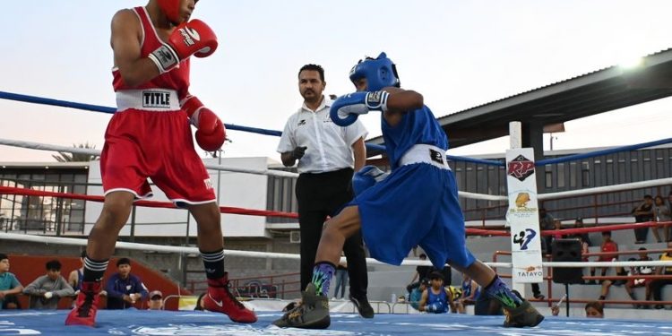 INICIAN EL 10 DE NOVIEMBRE LAS ELIMINATORIAS MUNICIPALES DE BOXEO PARA CONFORMAR EL SELECTIVO QUE REPRESENTARA A LOS CABOS