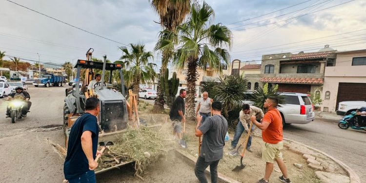 SERVICIOS PÚBLICOS DE LOS CABOS INTENSIFICA LABORES DE LIMPIEZA VESPERTINA EN COLONIA ARCOS DEL SOL