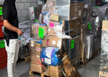 ASEGURA PGJE NARCÓTICOS EN EMPRESA DE PAQUETERÍA EN LA PAZ