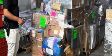 ASEGURA PGJE NARCÓTICOS EN EMPRESA DE PAQUETERÍA EN LA PAZ