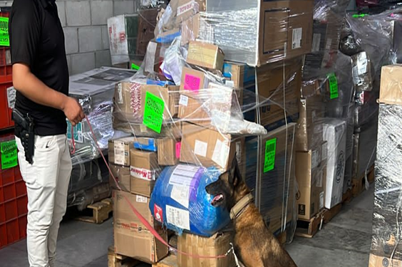 ASEGURA PGJE NARCÓTICOS EN EMPRESA DE PAQUETERÍA EN LA PAZ