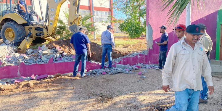 SERVICIOS PÚBLICOS DE LOS CABOS LLEVA A CABO TRABAJOS DE MANTENIMIENTO EN PARQUES Y JARDINES DEL MUNICIPIO