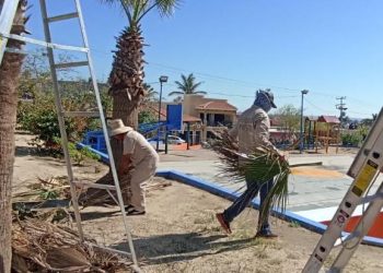 SERVICIOS PÚBLICOS DE LOS CABOS LLEVA A CABO TRABAJOS DE MANTENIMIENTO EN PARQUES Y JARDINES DEL MUNICIPIO