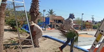 SERVICIOS PÚBLICOS DE LOS CABOS LLEVA A CABO TRABAJOS DE MANTENIMIENTO EN PARQUES Y JARDINES DEL MUNICIPIO