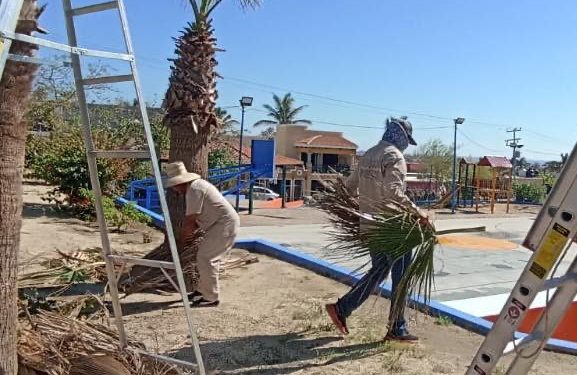 SERVICIOS PÚBLICOS DE LOS CABOS LLEVA A CABO TRABAJOS DE MANTENIMIENTO EN PARQUES Y JARDINES DEL MUNICIPIO