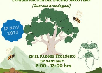 DAN A CONOCER LOS DETALLES DEL 2do FESTIVAL COMUNITARIO “SALVEMOS EL ENCINO ARROYERO” QUE SE REALIZARÁ EN SANTIAGO